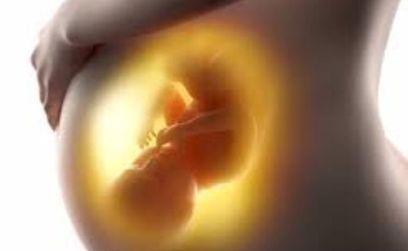 Dia Mundial da Prematuridade: 7 pontos de atenção sobre os traumas emocionais e sensoriais que o bebê prematuro pode carregar, segundo o psicólogo Manoel Augusto Bissaco