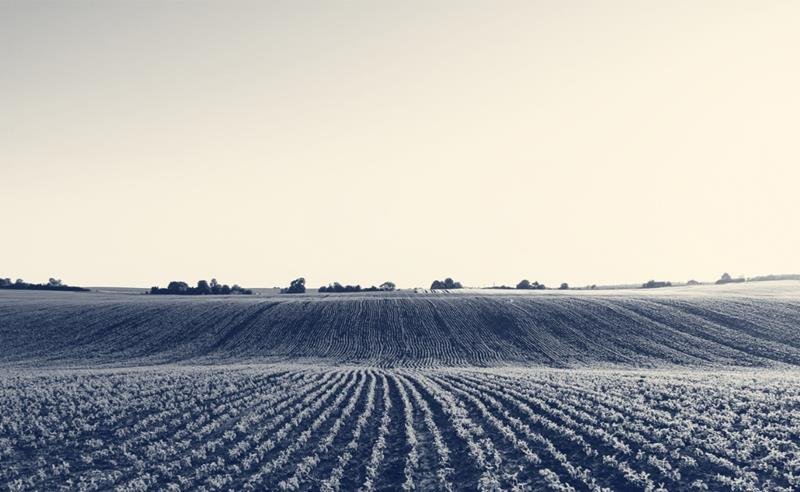 Primeiro sistema de gestão empresarial do mundo desenvolvido para cooperativas do agro é lançado no Brasil